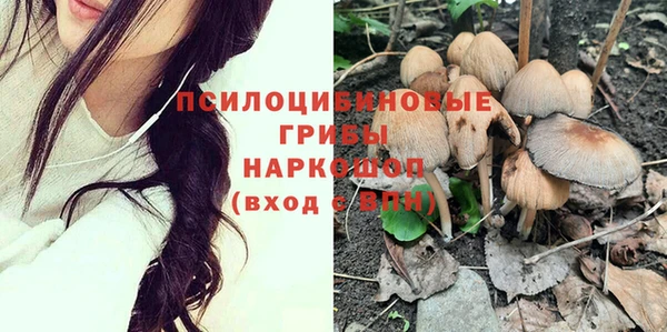 мет Елизово