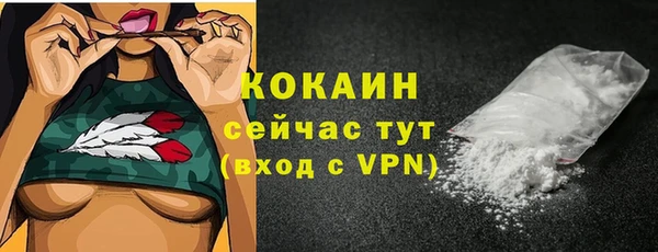 мет Елизово