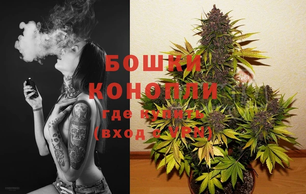 мет Елизово