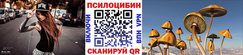 хочу наркоту  Плавск  Галлюциногенные грибы прущие грибы 